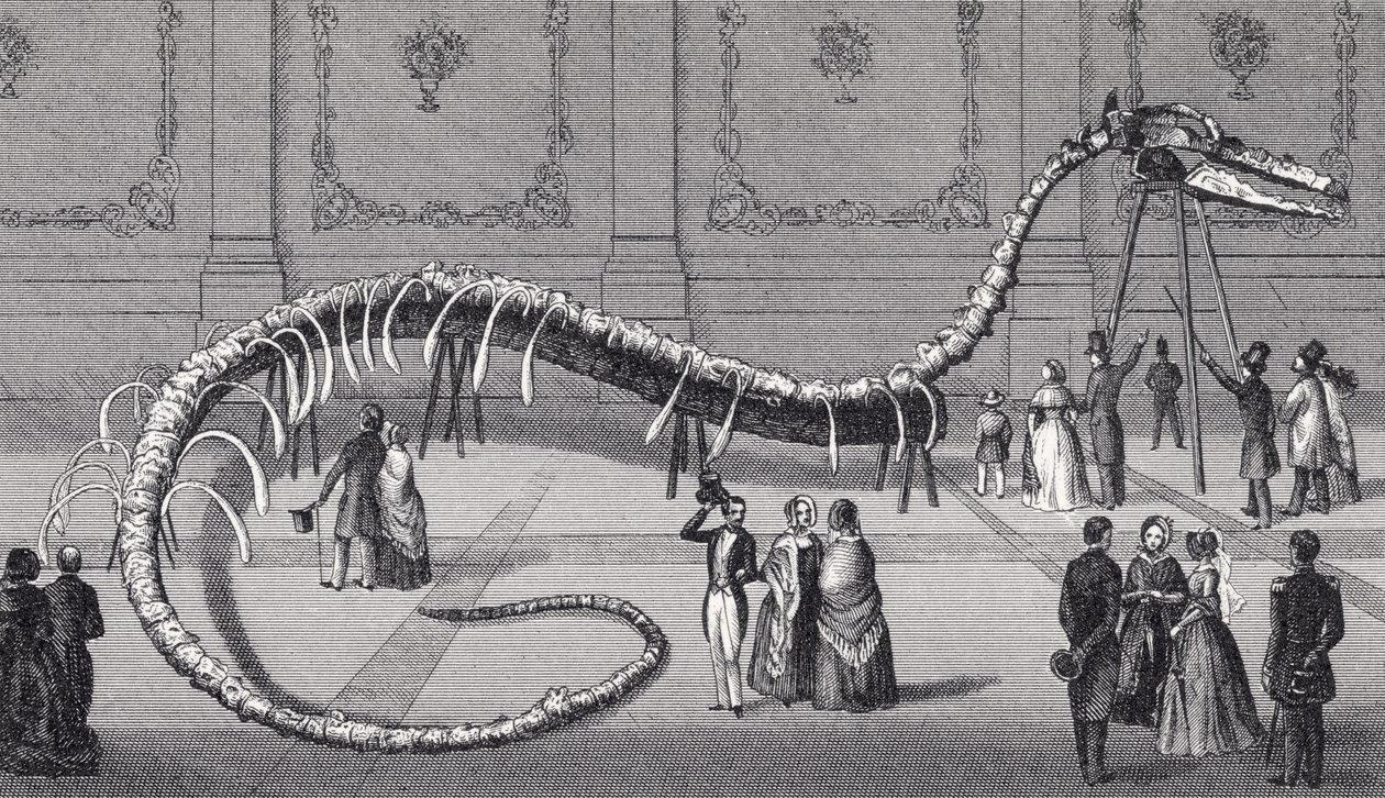 Squelette de 114 pieds de long du faux serpent de mer 