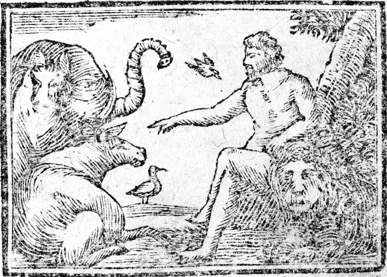 Adam nommant les animaux, illustration tirée d