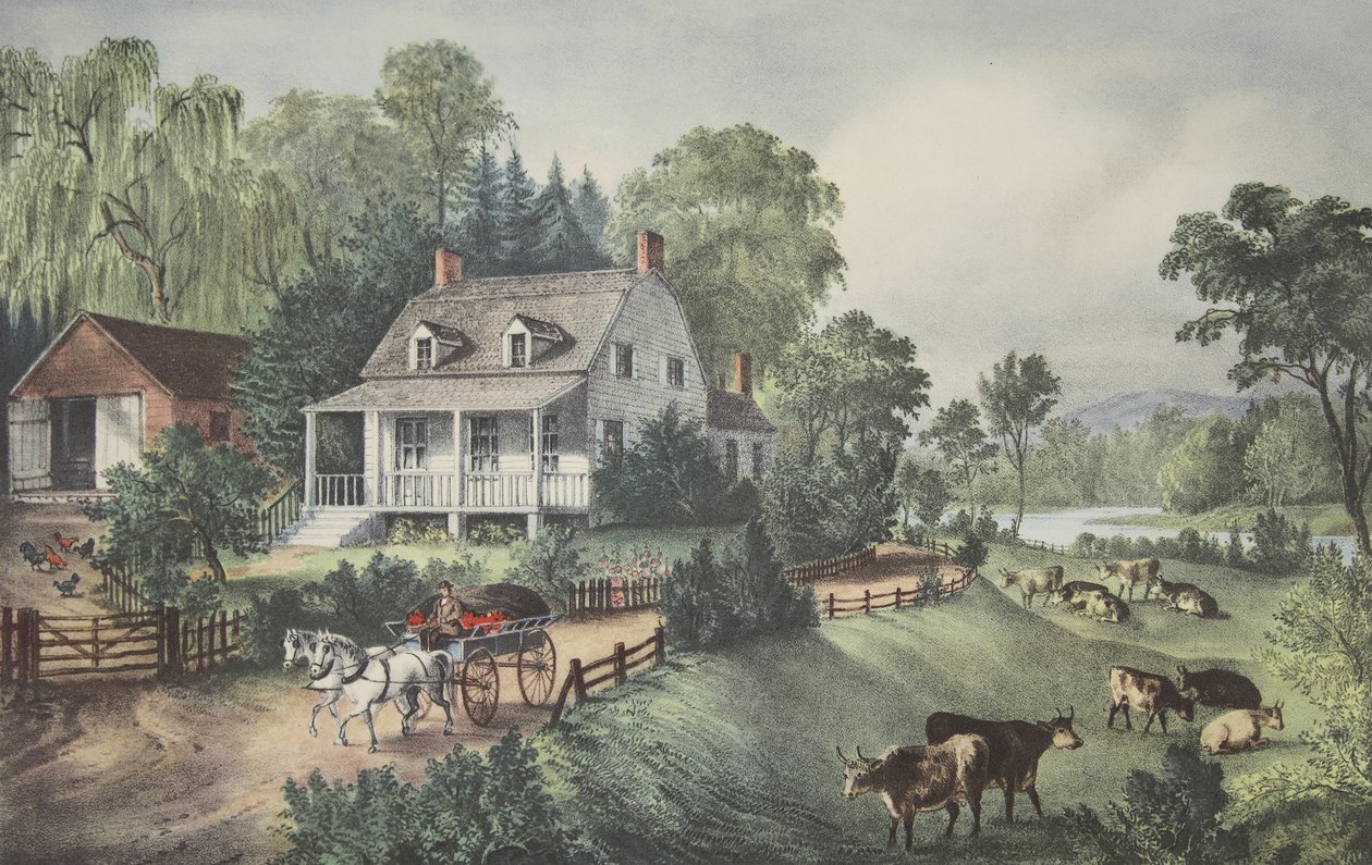 Ferme Américaine - Été - American School