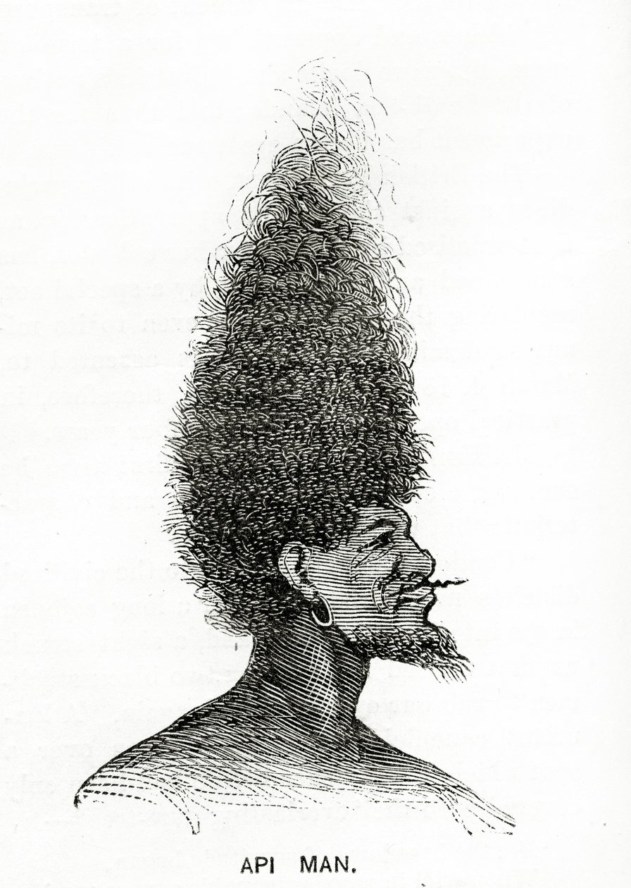 Api Man, illustration de Appletons Journal, 4 mai 1872 - American School