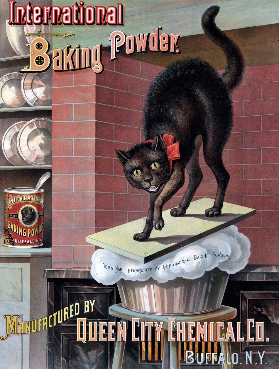 Chat noir réveillé par la pâte à pain qui monte, vers 1885 - American School