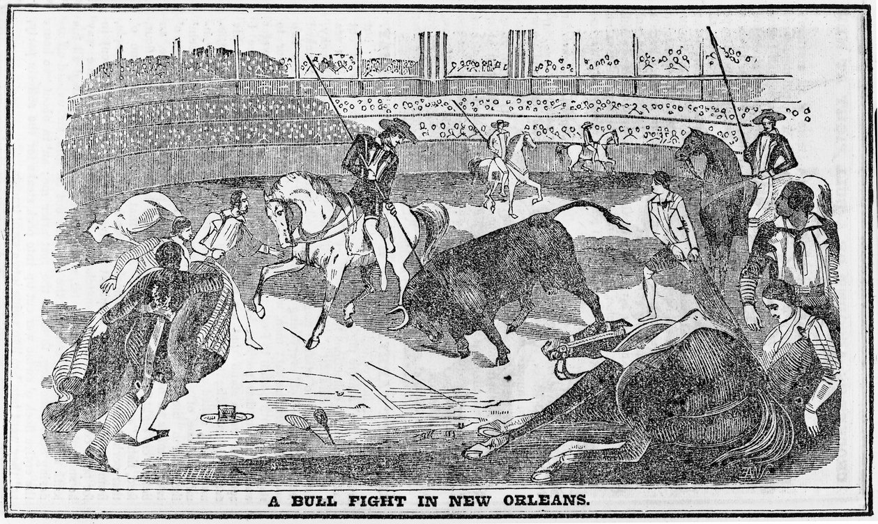 Combat de taureaux à la Nouvelle-Orléans, tiré de l