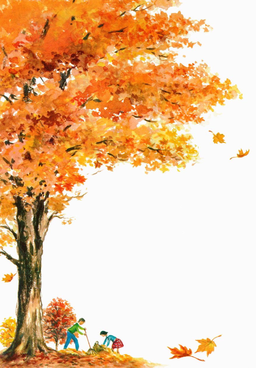 Enfants ratissant les feuilles d