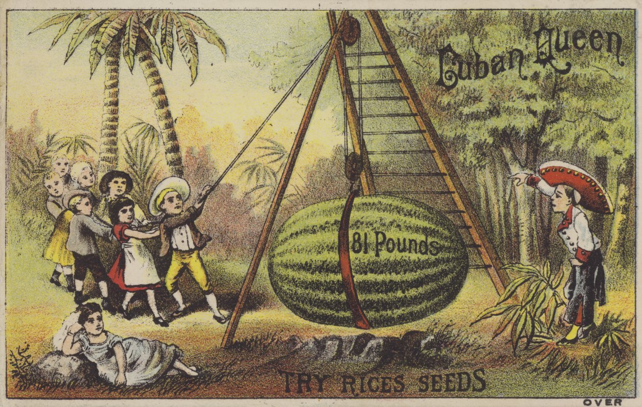Enfants élevant un énorme melon d