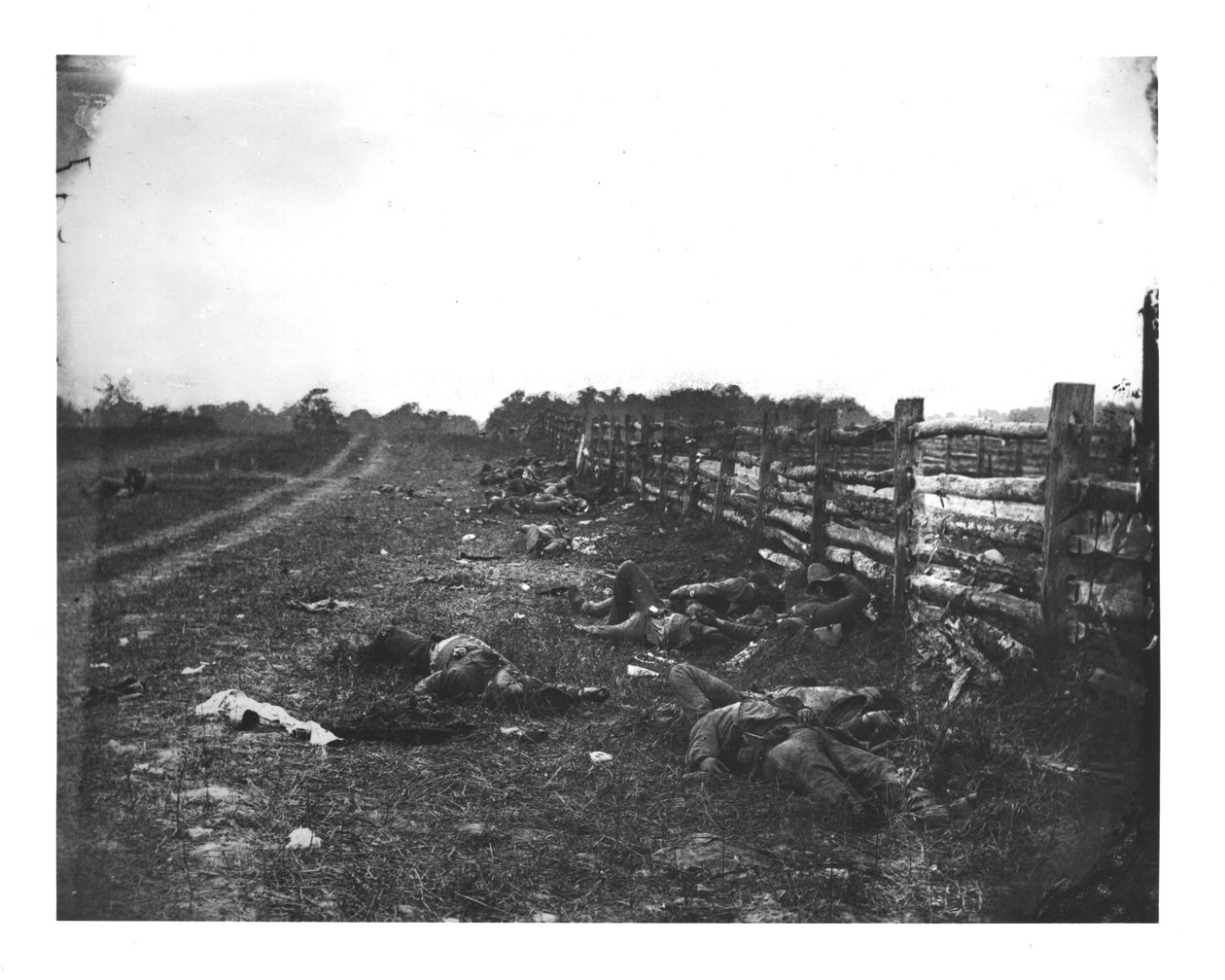 Morts confédérés le long du côté ouest de Hagerstown Pike, bataille d
