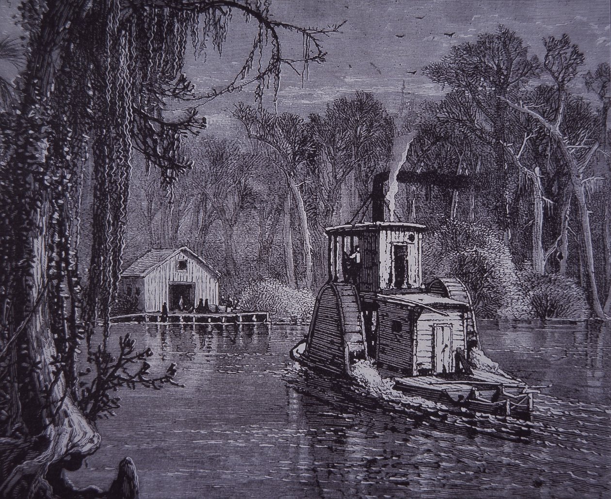 Scène des Everglades de Floride - American School