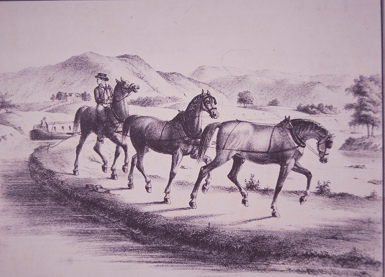 Chevaux tirant un bateau sur le canal Érié (gravure) - American School