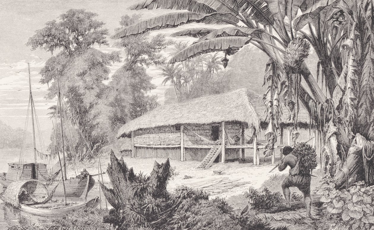 Maison d