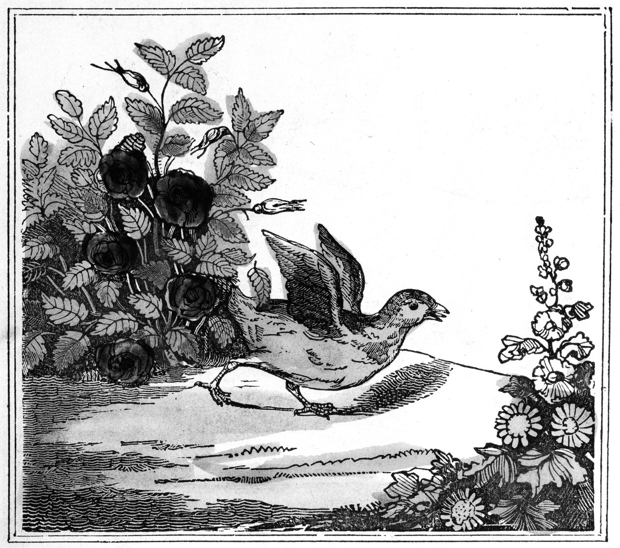 Illustration de l