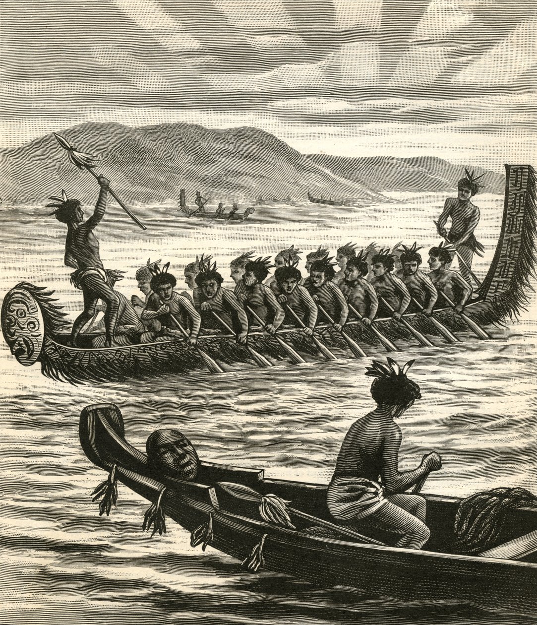 Illustration de guerriers maoris en pirogue - American School