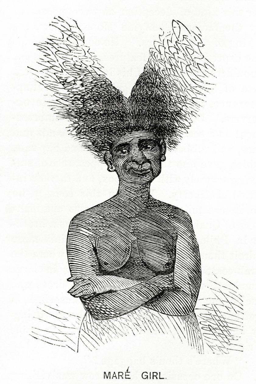 Mare Girl, illustration de Appletons Journal, 4 mai 1872 - American School