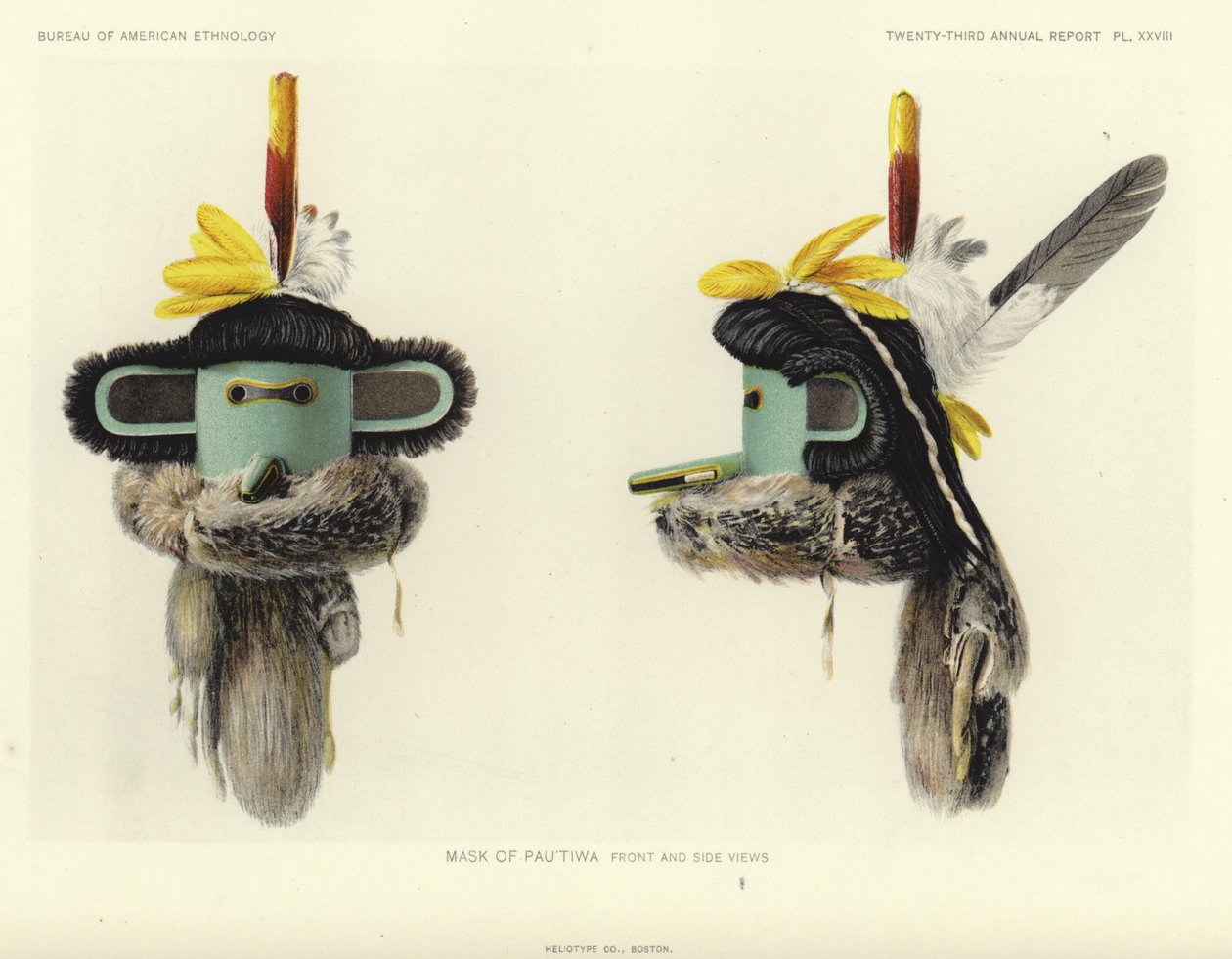 Masque de Pautiwa - vues de face et de profil (lithographie couleur) - American School