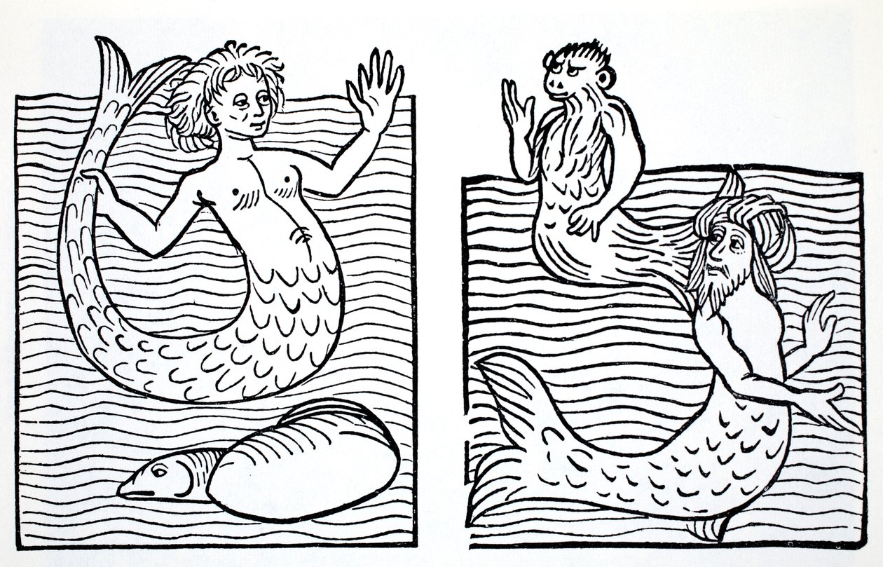 Sirènes et tritons, du Guide mondial des gnomes, fées, elfes et autres petits peuples de Thomas Keightley (1789-1872) publié en 1880 - American School