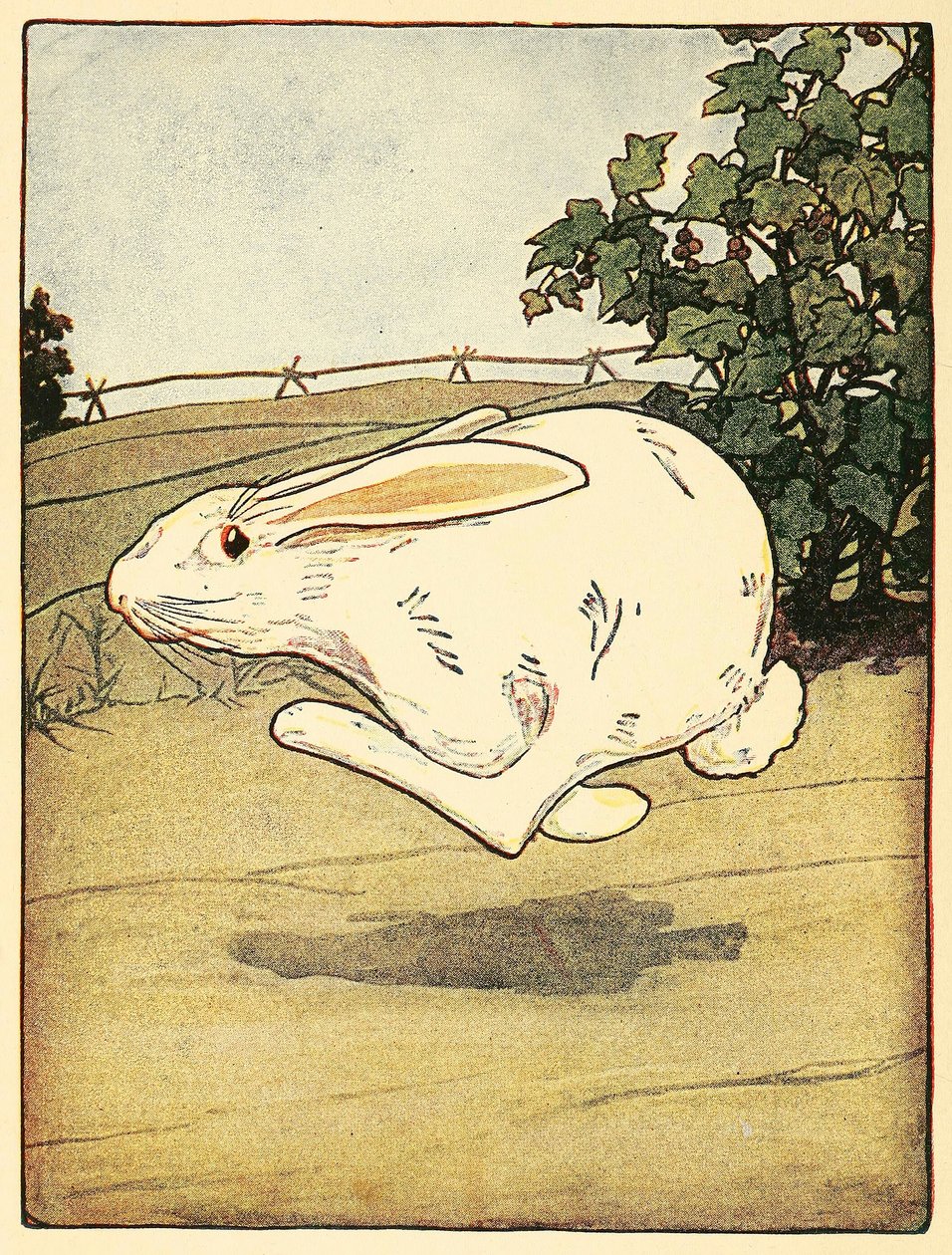 Pierre ne cessa de courir, du Conte de Pierre Lapin, pub. 1916 lithographie en couleur, 1916 - American School