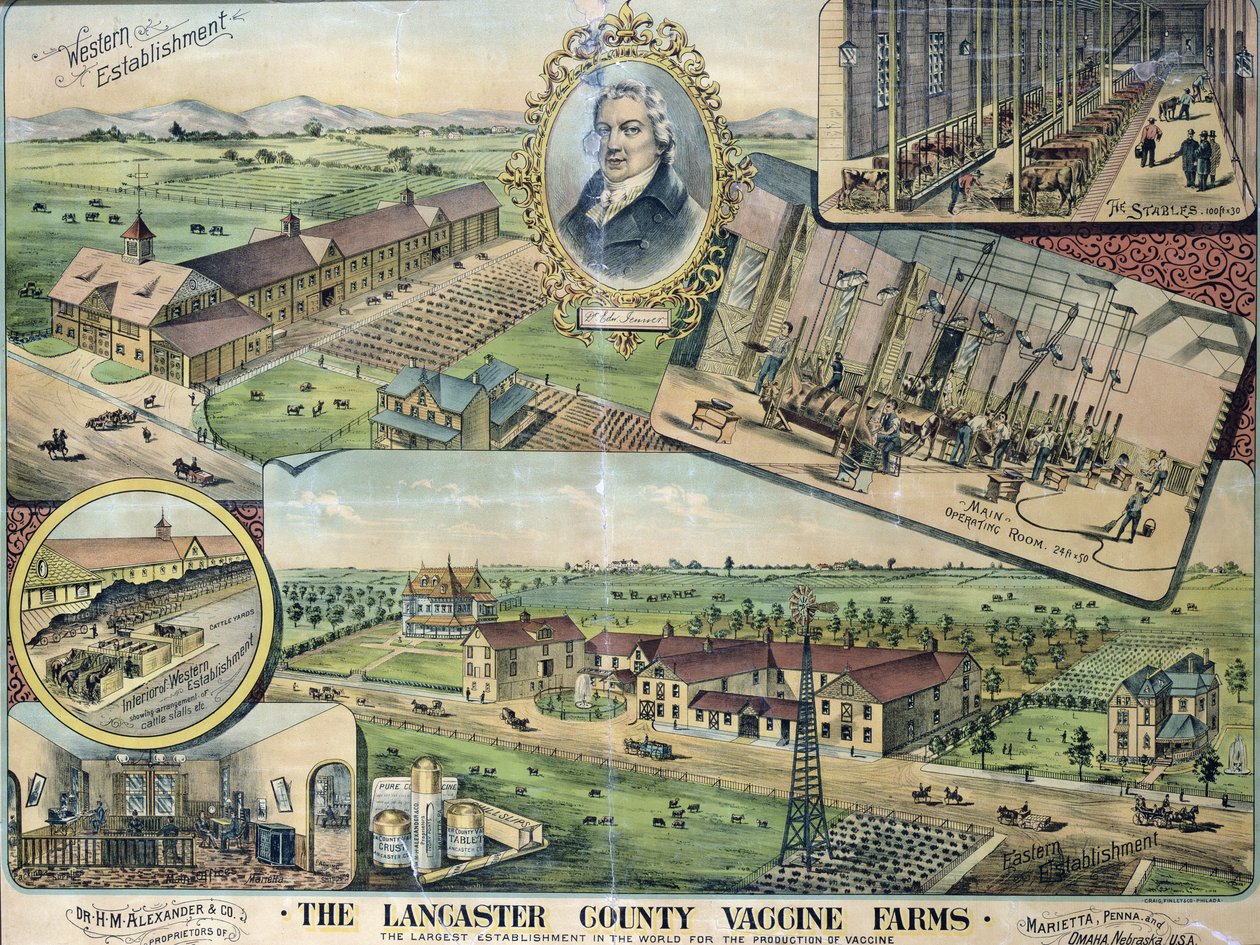 Plan des fermes de vaccins du comté de Lancaster, Nebraska - American School