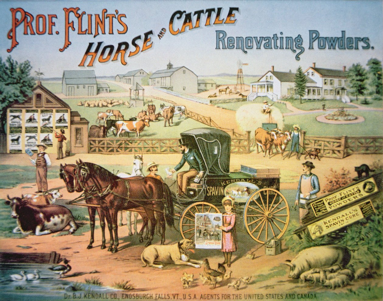 Poudres rénovatrices pour chevaux et bovins du professeur Flint, vers 1900 - American School