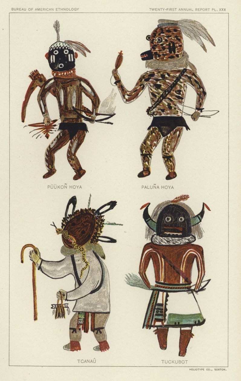 Puukon Hoya, Paluna Hoya, Tcanau, Tuckubot (lithographie couleur) - American School