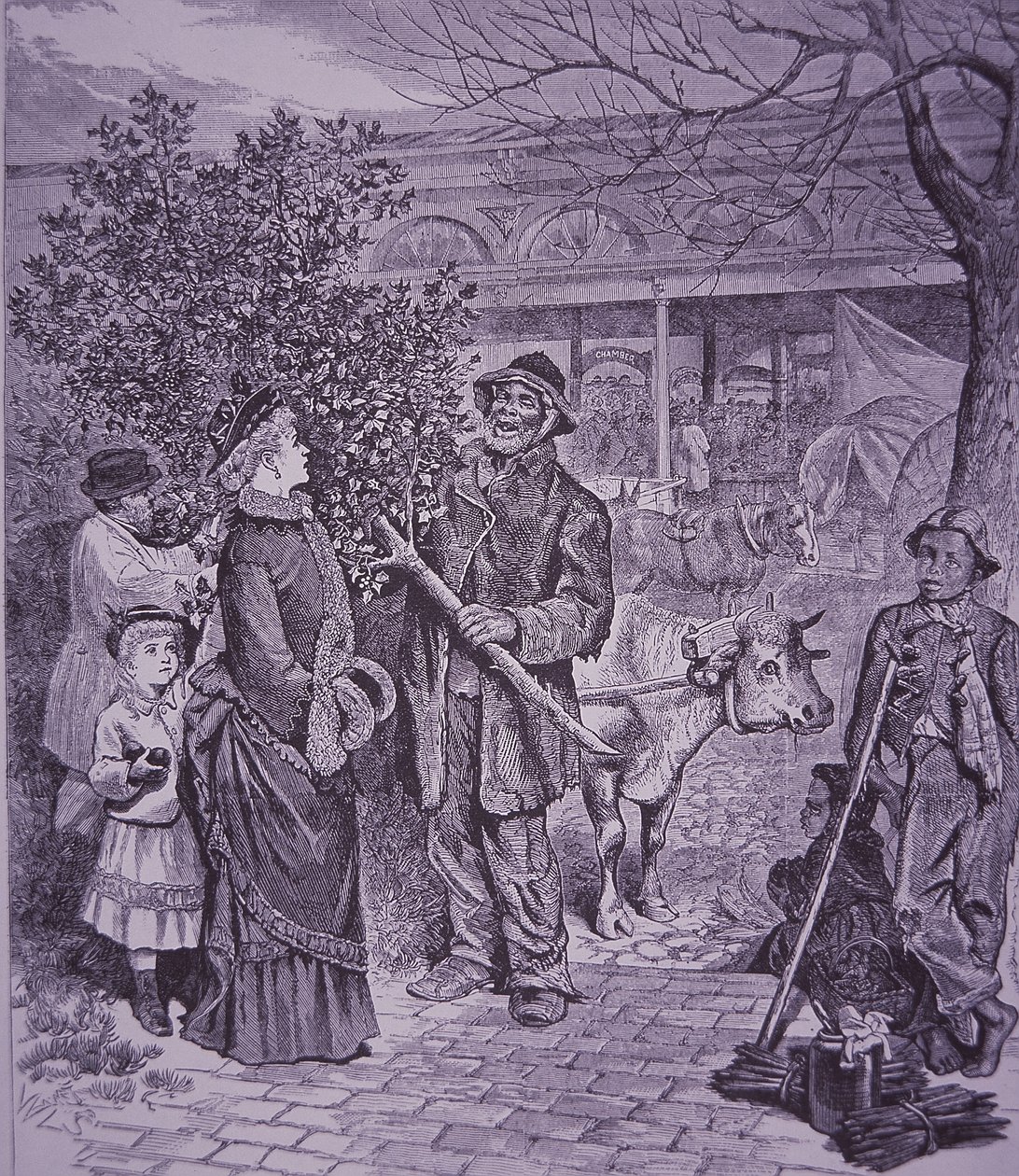 Vente de sapins de Noël à Richmond, Virginie - American School