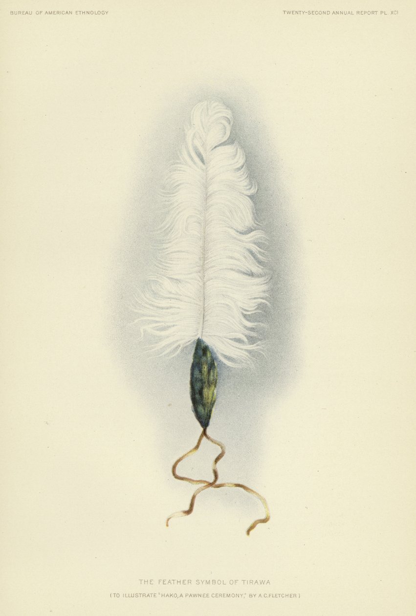 Le symbole de la plume de Tirawa (lithographie couleur) - American School
