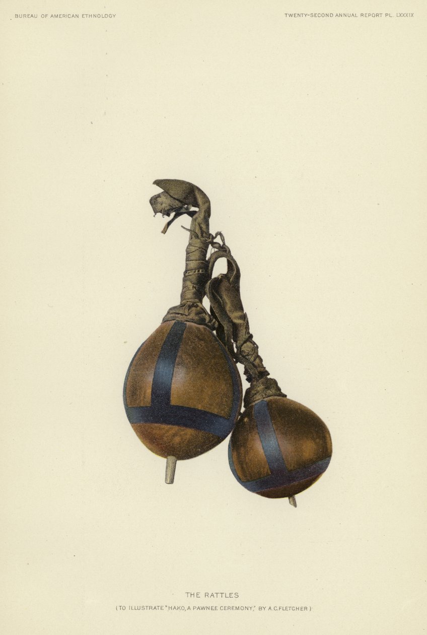 Les hochets (lithographie couleur) - American School