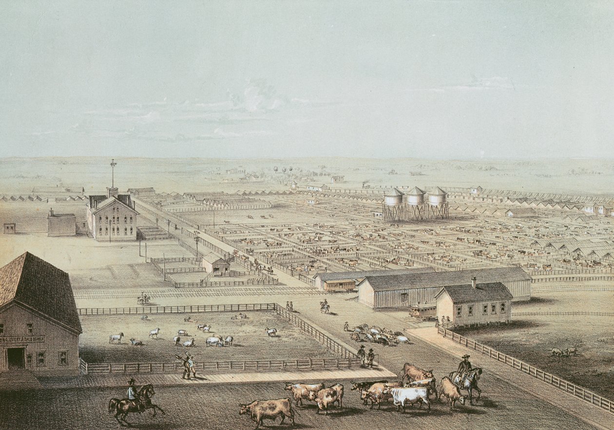 Union Stockyards, Chicago - American School