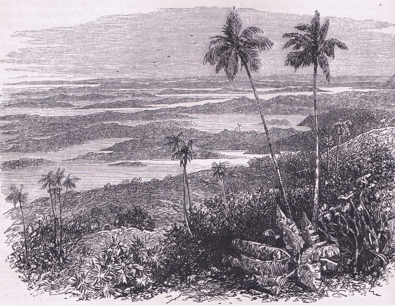 Vue des Bermudes, illustration de Cassell
