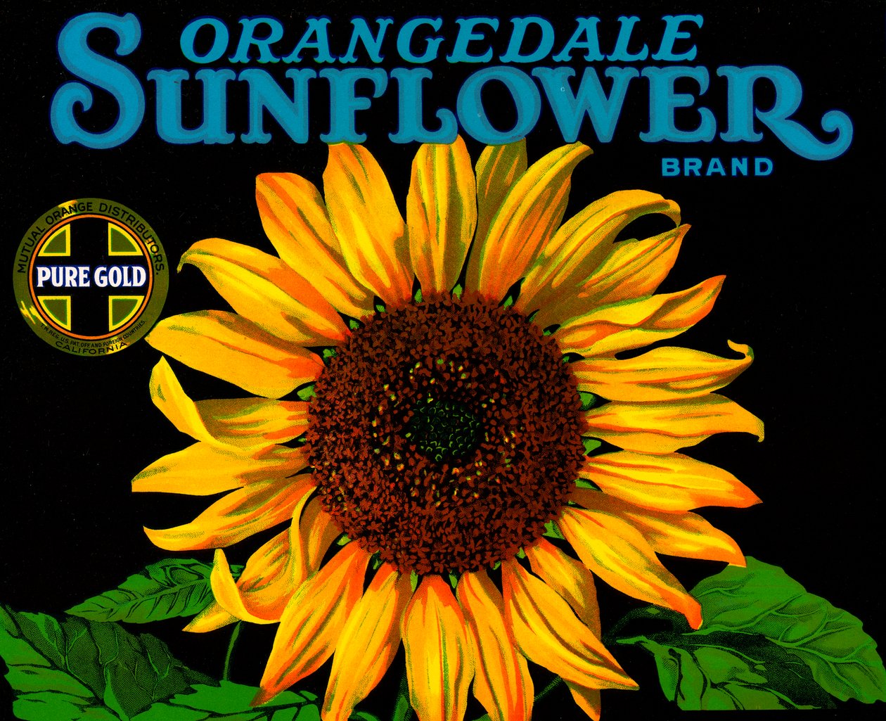 Étiquette de caisse de fruits vintage avec tournesol - American School