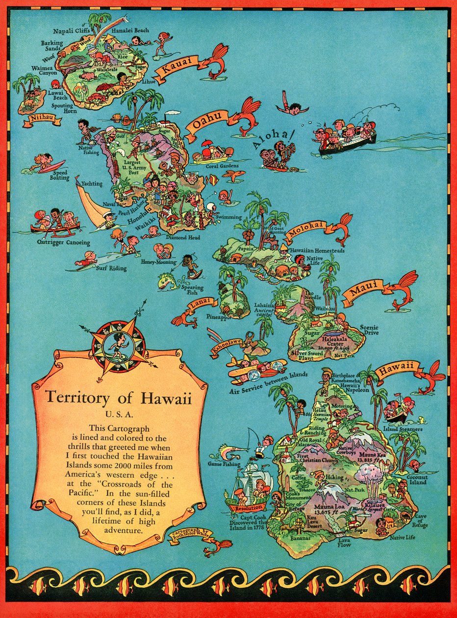 Ancienne carte d'Hawaï de 1893, carte de style vintage, belle