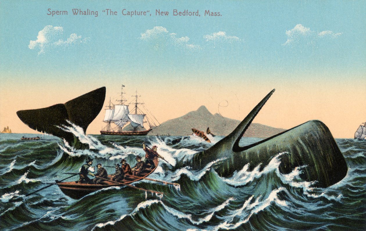 Baleiniers harponnant un cachalot au large de New Bedford, Massachusetts - American School
