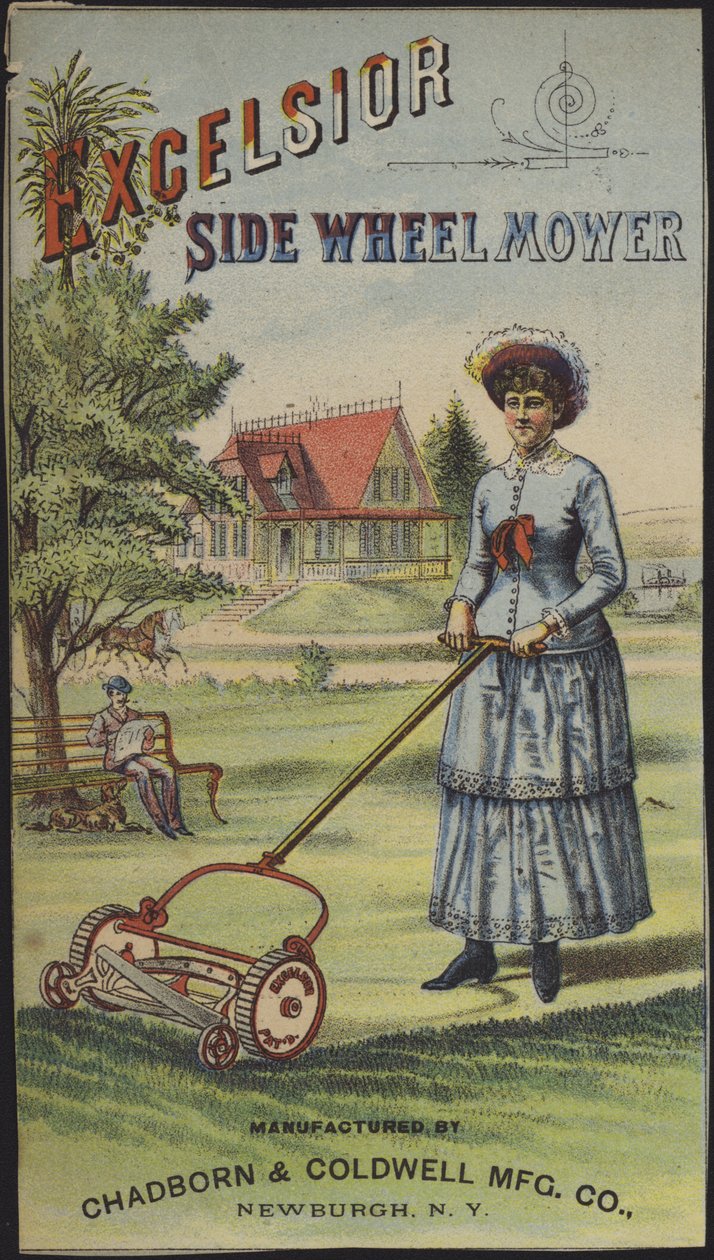 Femme en train de tondre l
