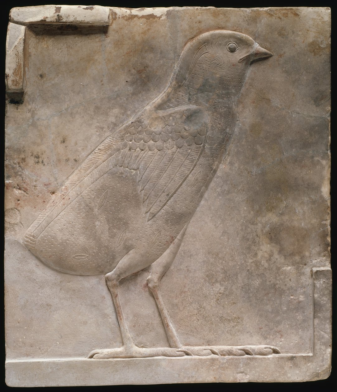 Plaque représentant un poussin de caille - Ancient Egyptian