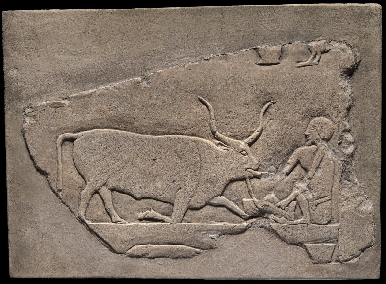 Fragment de mur d