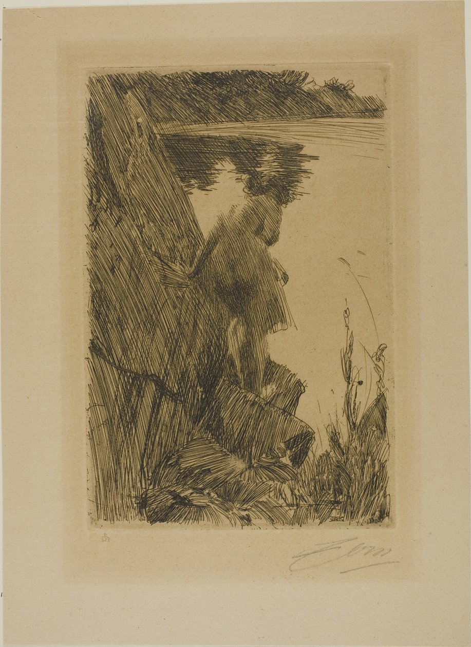 Baigneur (Soir) III - Anders Leonard Zorn