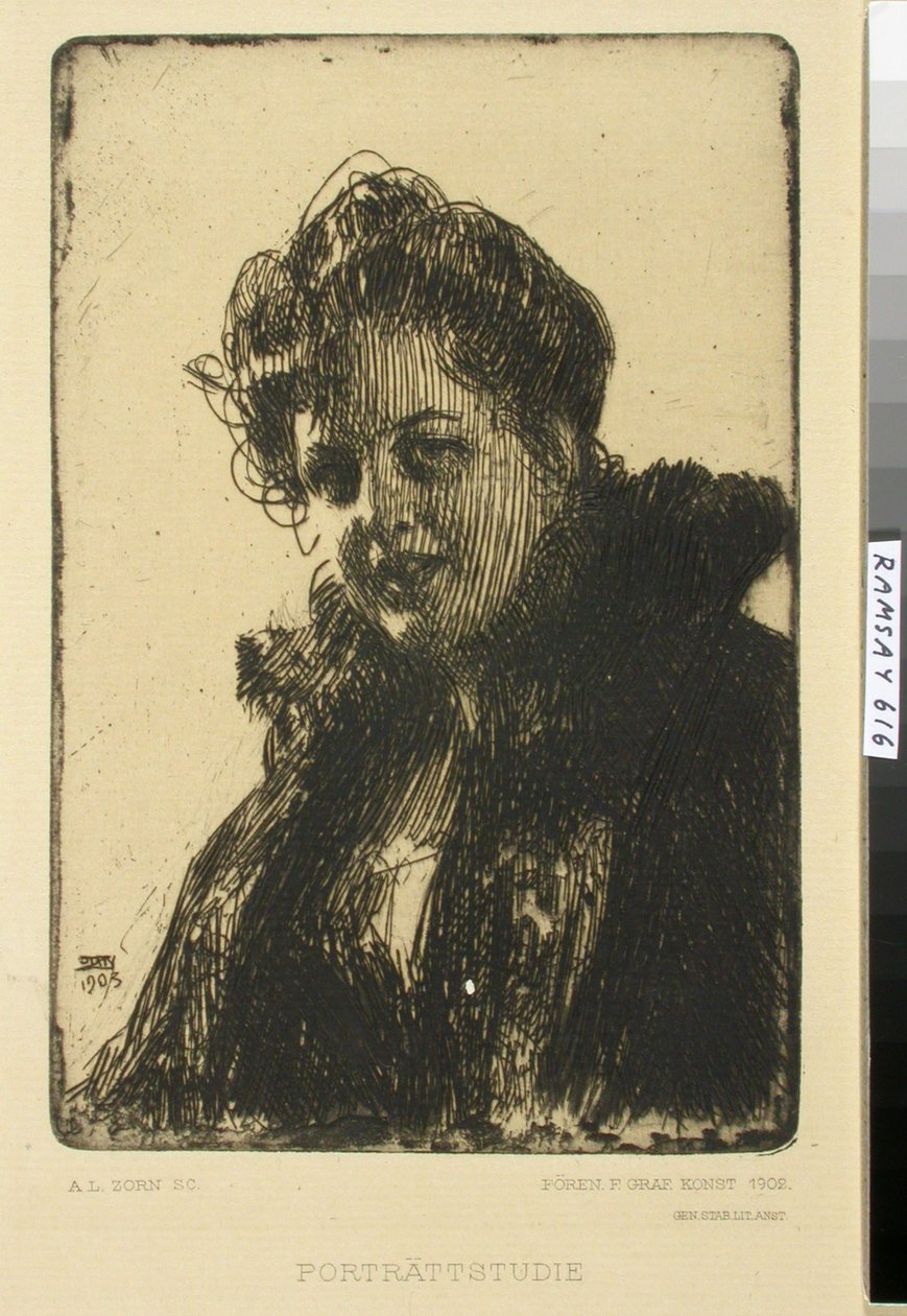 Sans titre - Anders Zorn