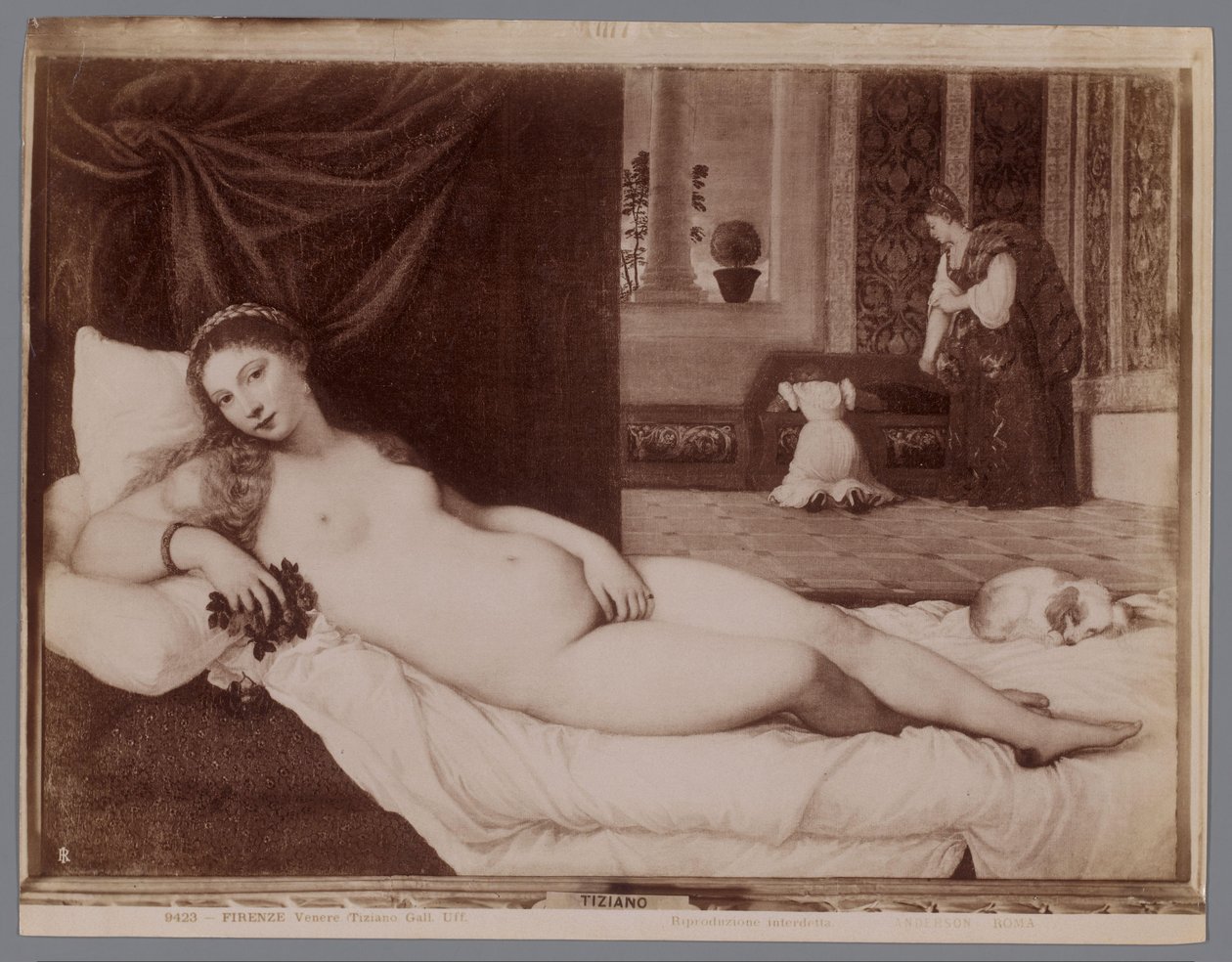 Reproduction photographique de la peinture La Vénus d