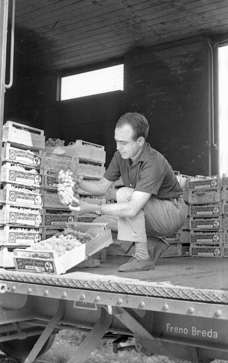 RAISINS AMERS - SUR LE WAGON DE MARCHANDISES - Ando Gilardi