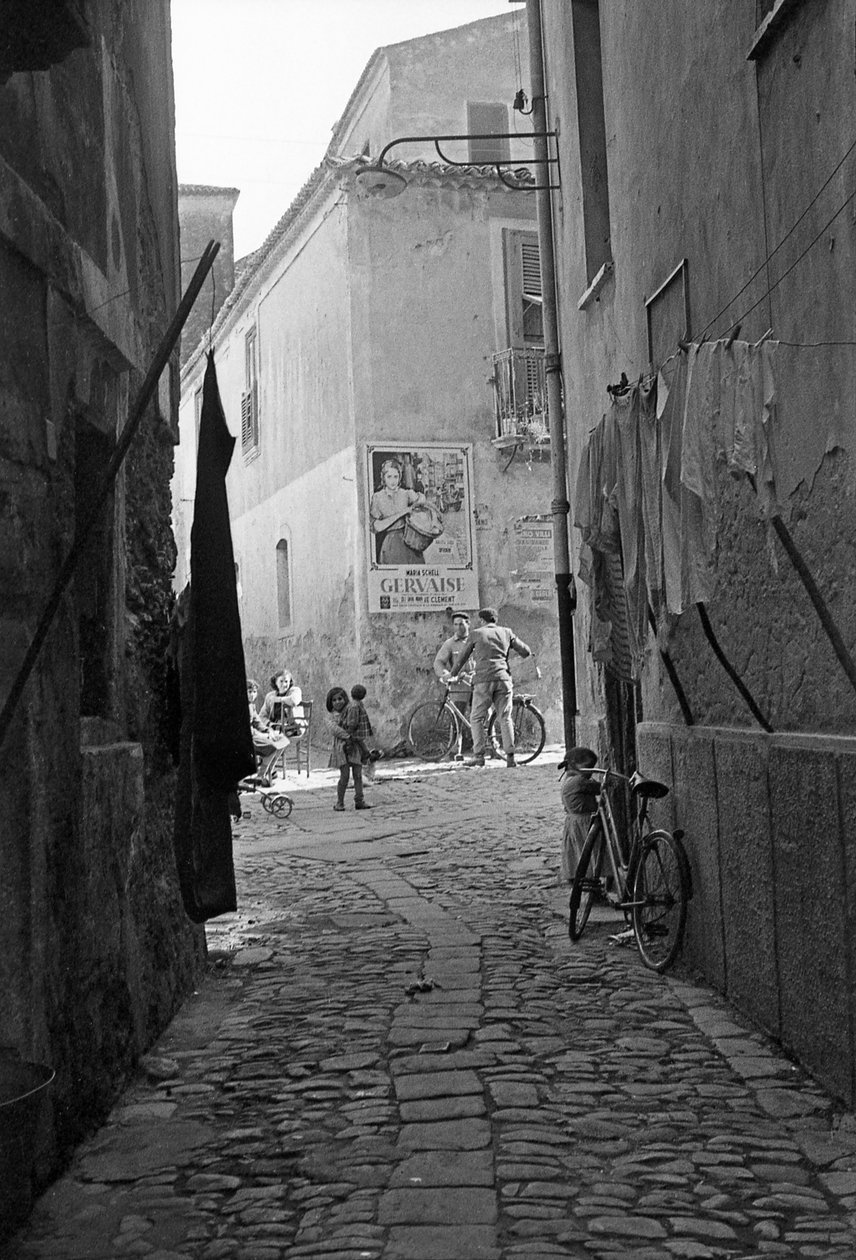ALLEE CROTONE - Ando Gilardi