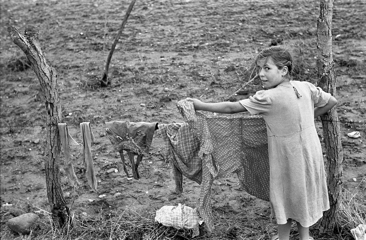 CAMPAGNE DE CROTONE - POSE DE BARBELÉS, - Ando Gilardi