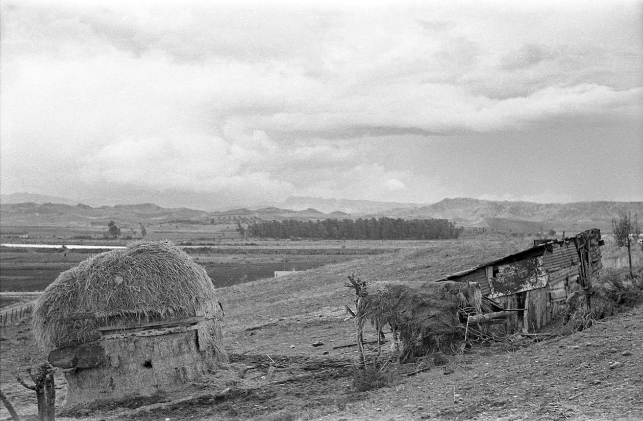 CABANE AVEC GRANGE - Ando Gilardi