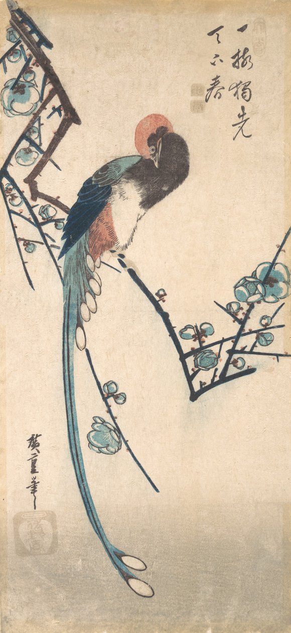 Oiseau à longue queue - Ando Hiroshige