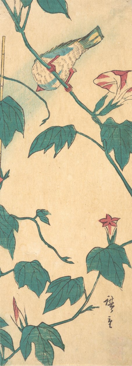 Gloires du Matin et Oiseau, 1840-50 - Ando Hiroshige