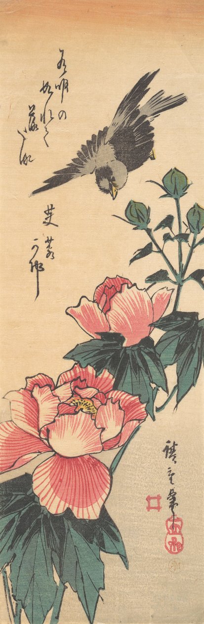 Moineau et hibiscus, vers 1834 - Ando Hiroshige