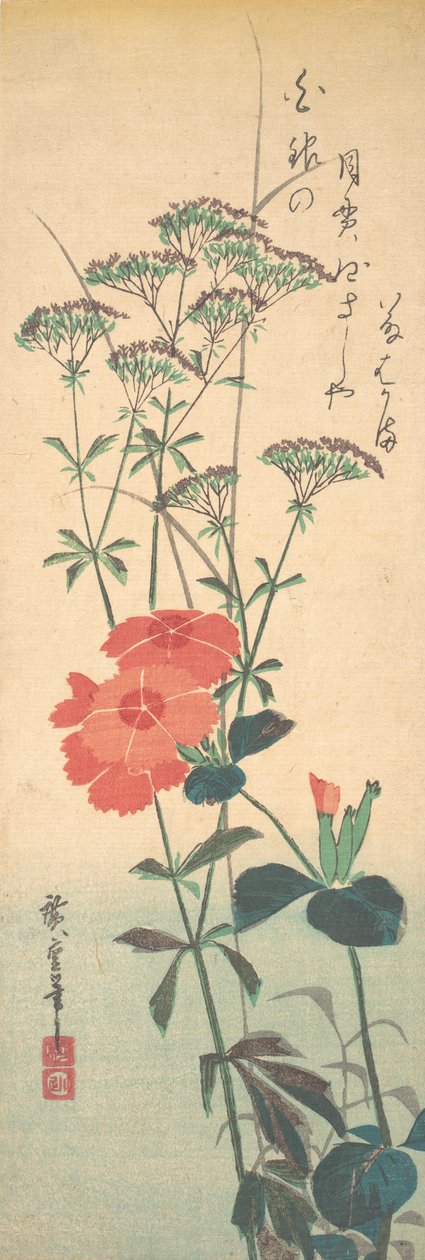 Œillets superbes et agrimoine chinoise - Ando Hiroshige