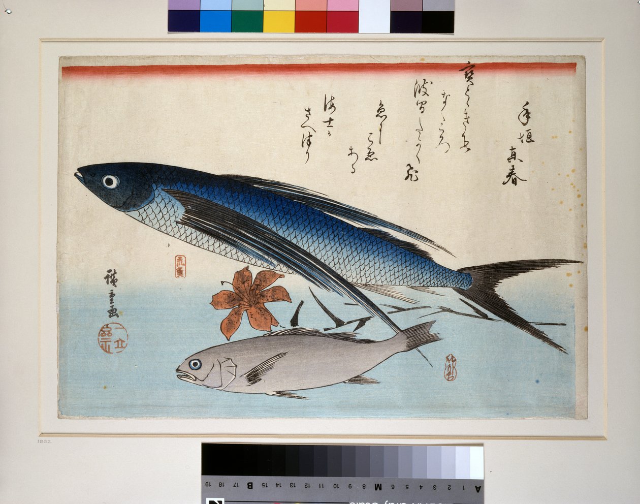 Poisson volant, poisson ishimochi et lys - Ando or Utagawa Hiroshige