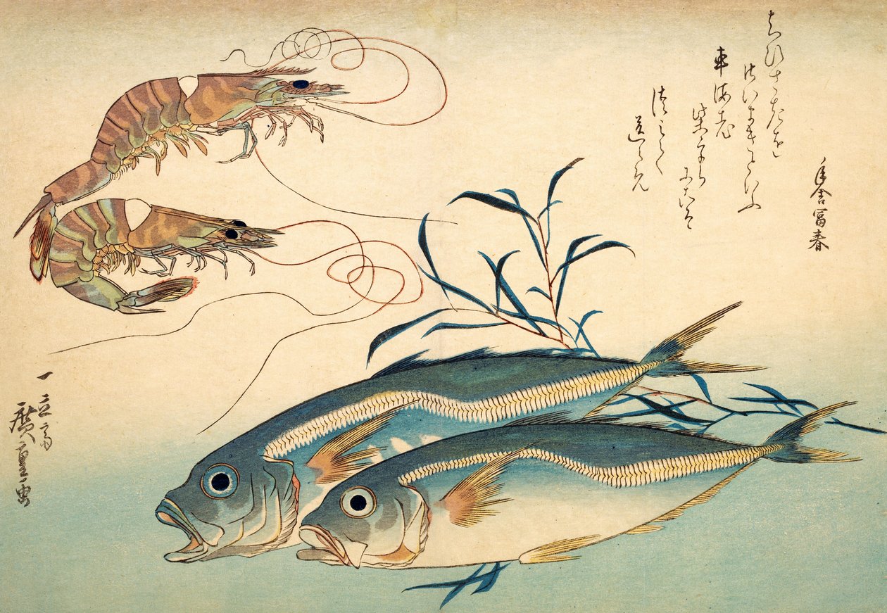 Chinchard japonais et crevette tigre japonaise - Ando or Utagawa Hiroshige