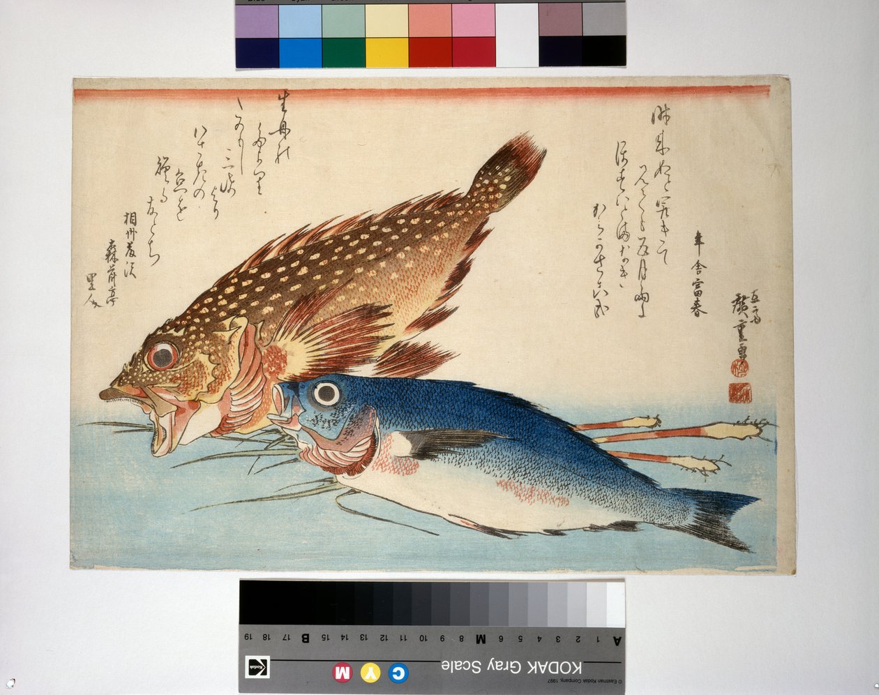 Poisson scorpion et poisson isaki au gingembre racine - Ando or Utagawa Hiroshige