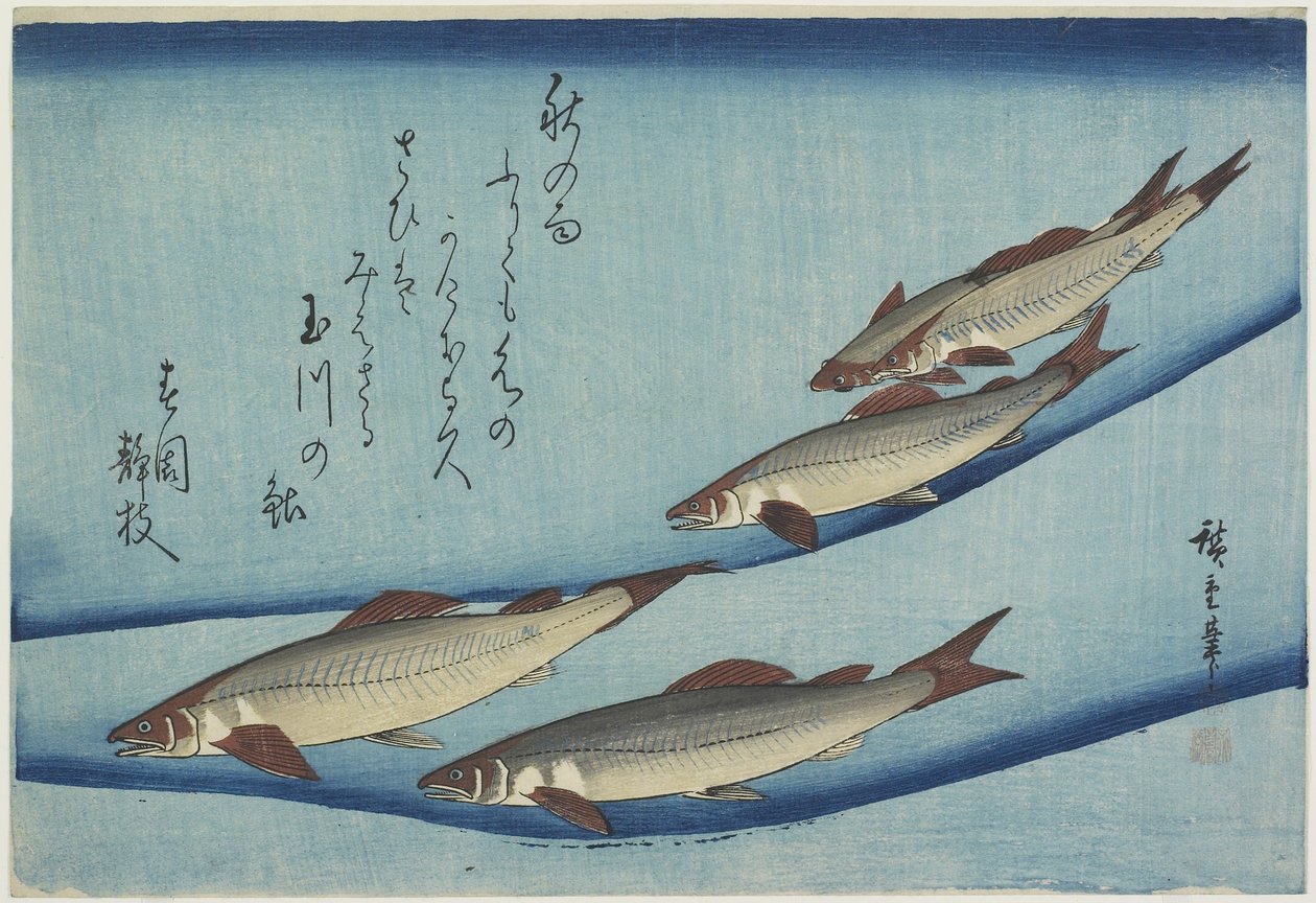 Truite - Ando or Utagawa Hiroshige