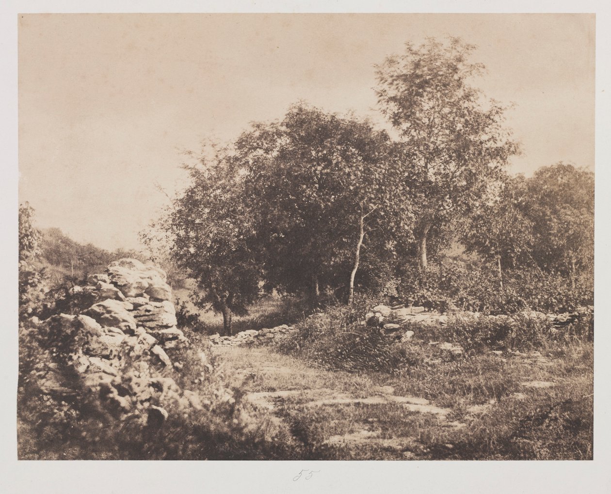 Scène sans titre de Fontainebleau, vers 1853 - André Giroux