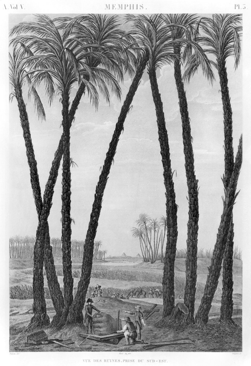 Vue des ruines de Memphis depuis le sud-est, gravée par Jean Louis Delignon (1755-1804) - Andre Dutertre