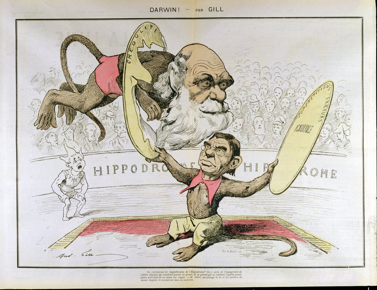 Caricature de Charles Darwin et Émile Littré les représentant comme des singes de cirque - Andre Gill